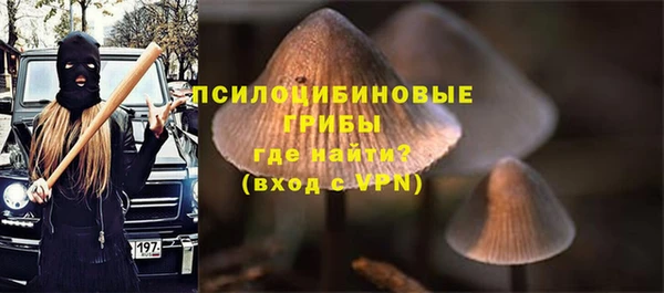индика Аркадак