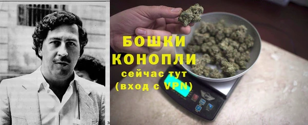 гашик Покровск