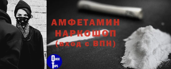 гашик Покровск