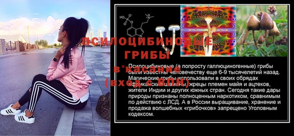 гашик Покровск