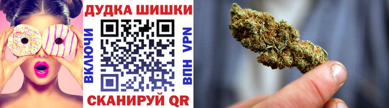 сколько стоит  Куртамыш  Конопля ГИДРОПОН 